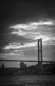 DSC_6919