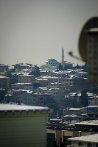 DSC_8692